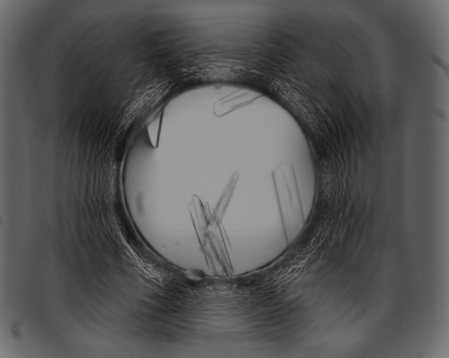 X0000097470586200803201450