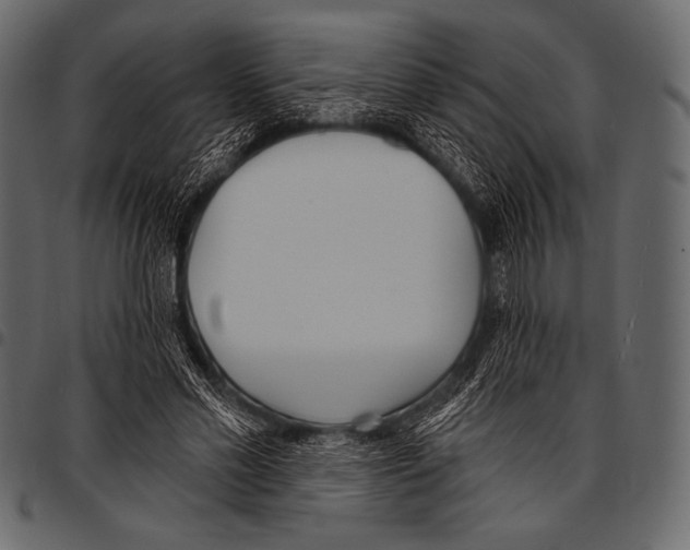 X0000097470589200803201450