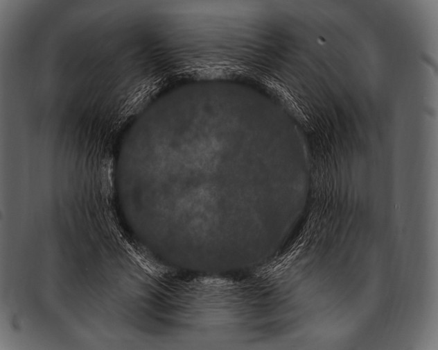 X0000097470590200803201450