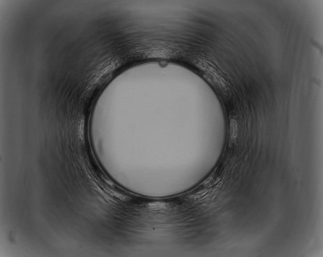 X0000097470591200803201449