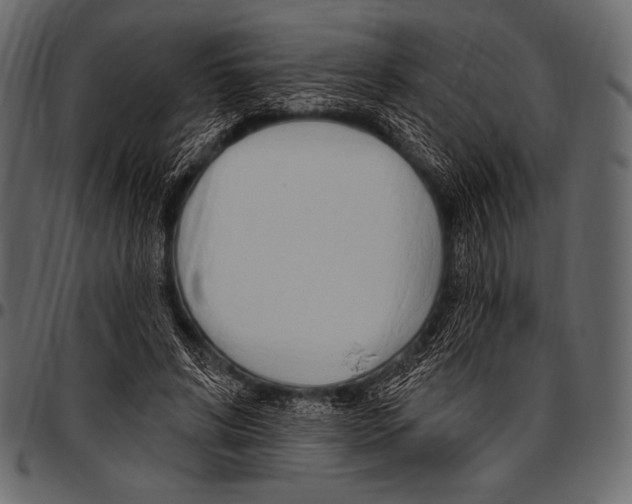 X0000097470592200803201449