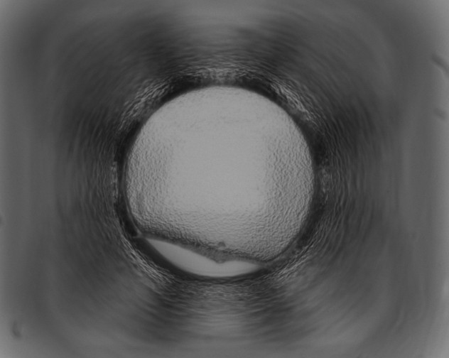 X0000097470594200803201449