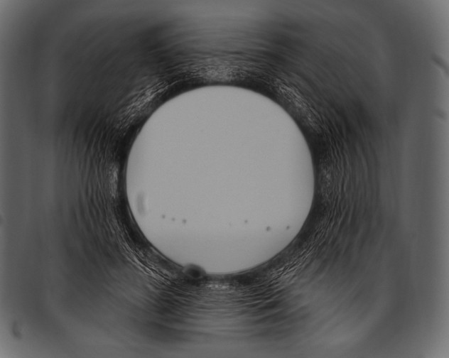 X0000097470596200803201449