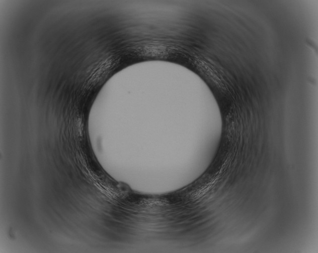 X0000097470597200803201449