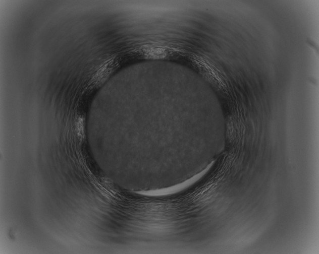 X0000097470598200803201449