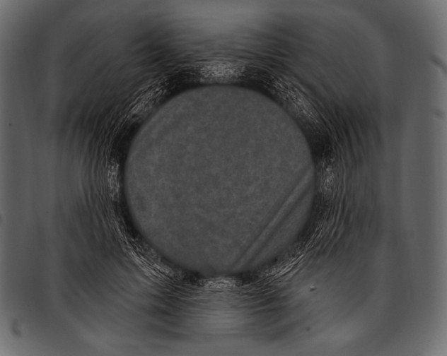 X0000097470599200803201449