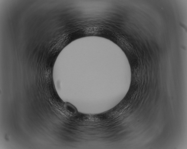 X0000097470601200803201449