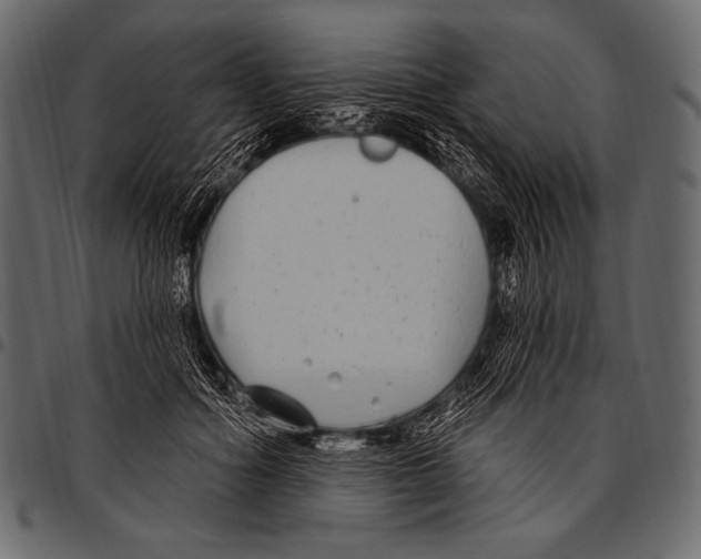 X0000097470602200803201449