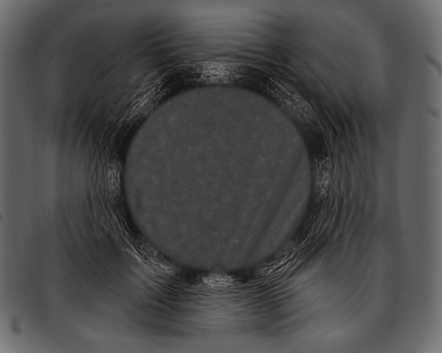 X0000097470603200803201449