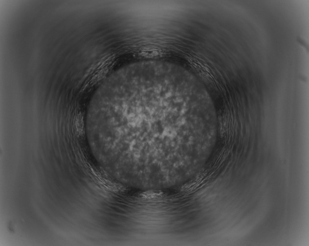 X0000097470606200803201449