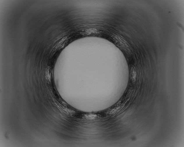 X0000097470607200803201449