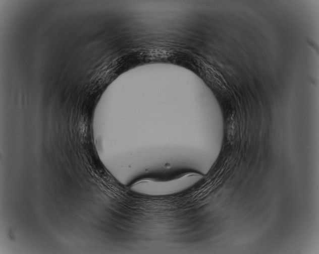 X0000097470608200803201449