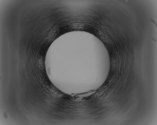 X0000097470609200803201449