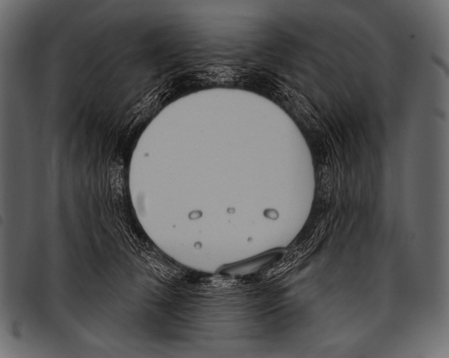 X0000097470612200803201449