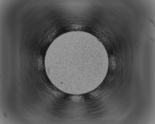 X0000097470615200803201449