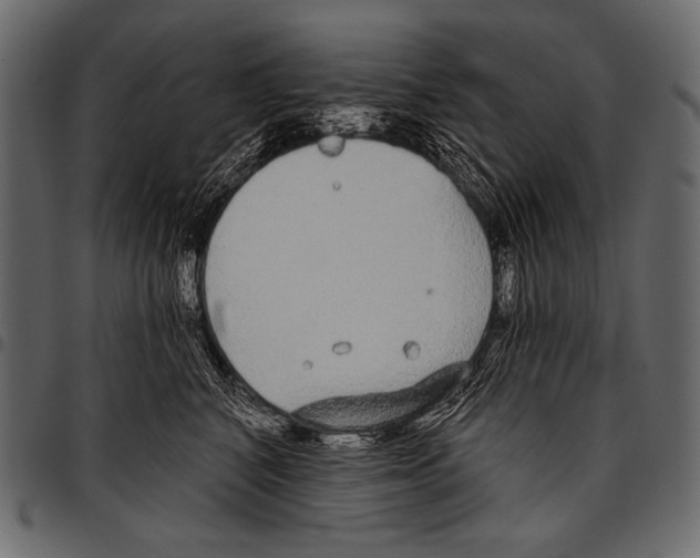 X0000097470616200803201449