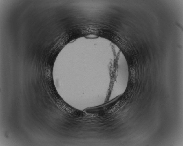 X0000097470617200803201449