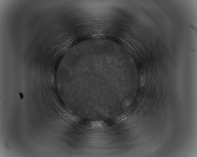 X0000097470618200803201449