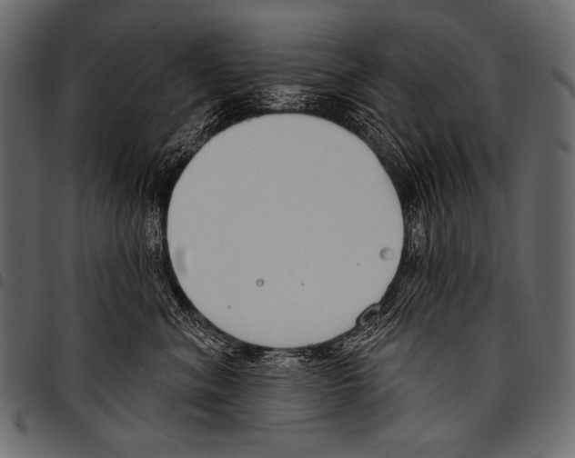 X0000097470620200803201449