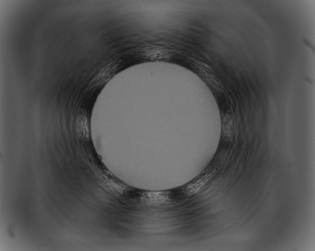 X0000097470622200803201449