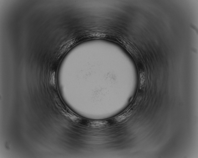 X0000097470623200803201449