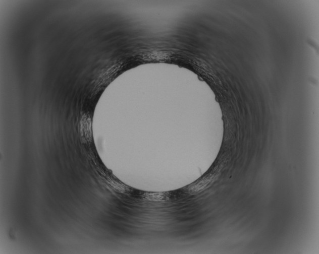 X0000097470624200803201449