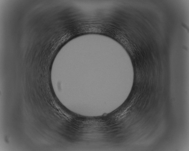 X0000097470625200803201448