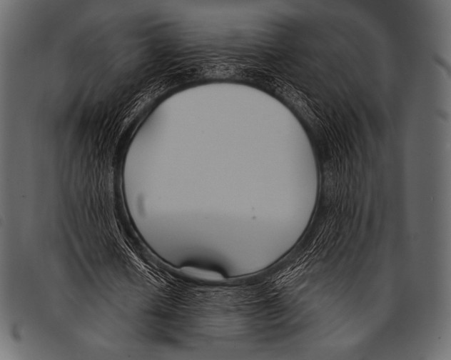 X0000097470626200803201448