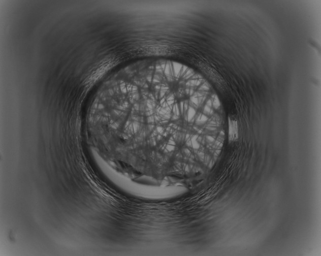 X0000097470627200803201448