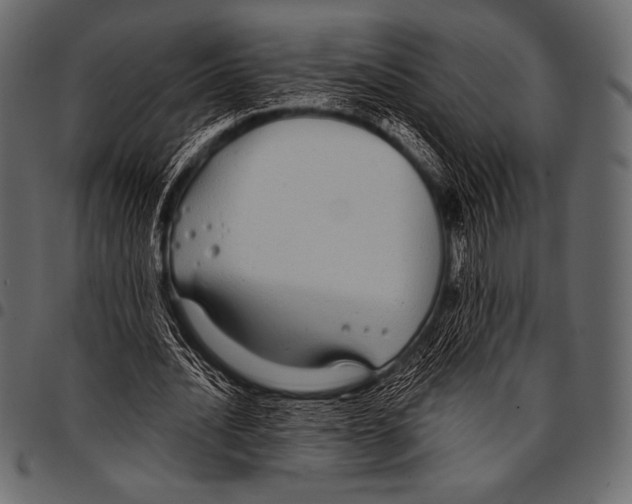 X0000097470628200803201448