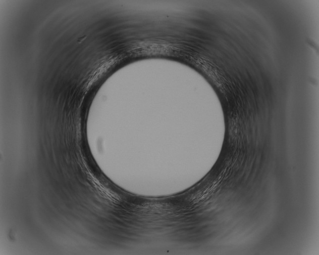 X0000097470629200803201448