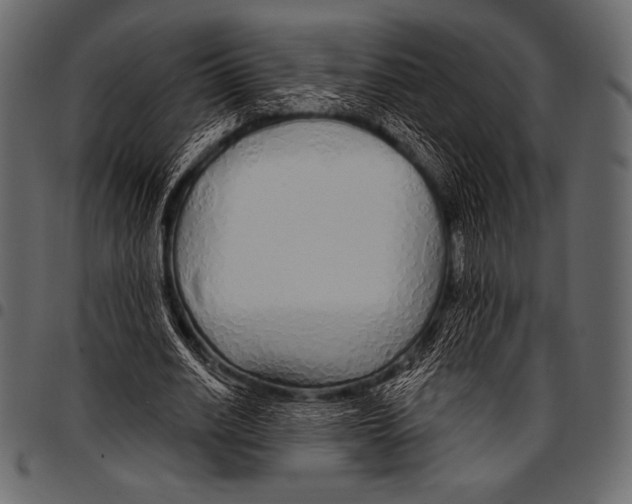 X0000097470630200803201448