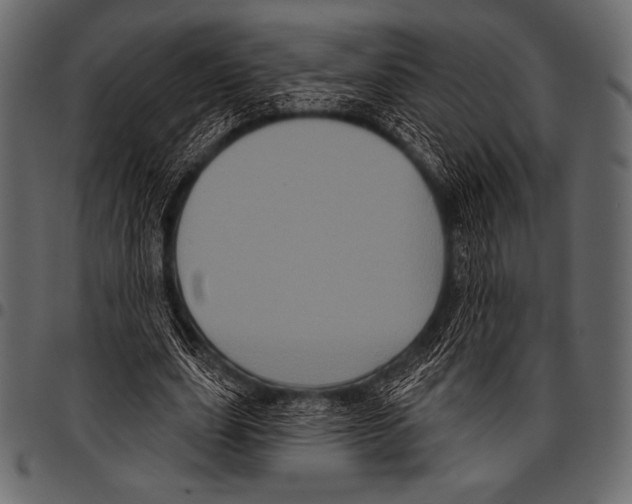 X0000097470631200803201448