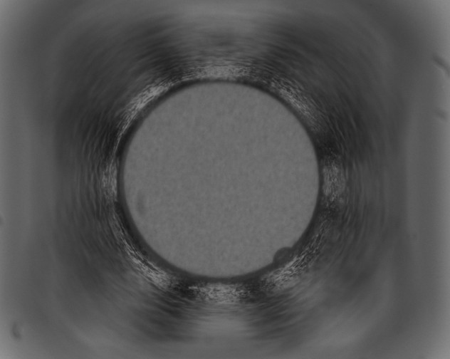 X0000097470632200803201448