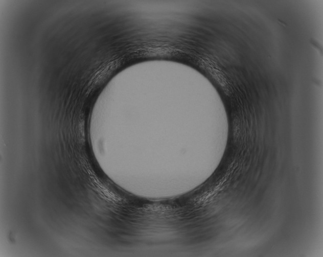 X0000097470633200803201449