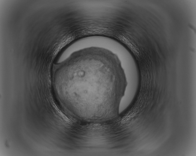 X0000097470634200803201449