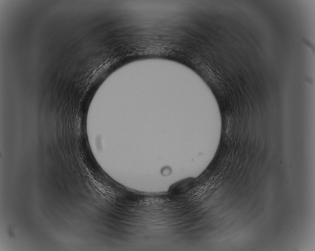 X0000097470636200803201449