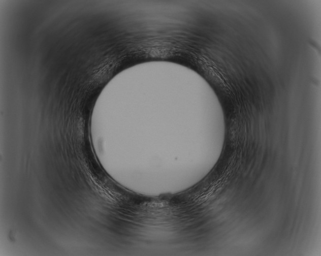 X0000097470639200803201449