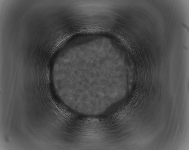 X0000097470640200803201449