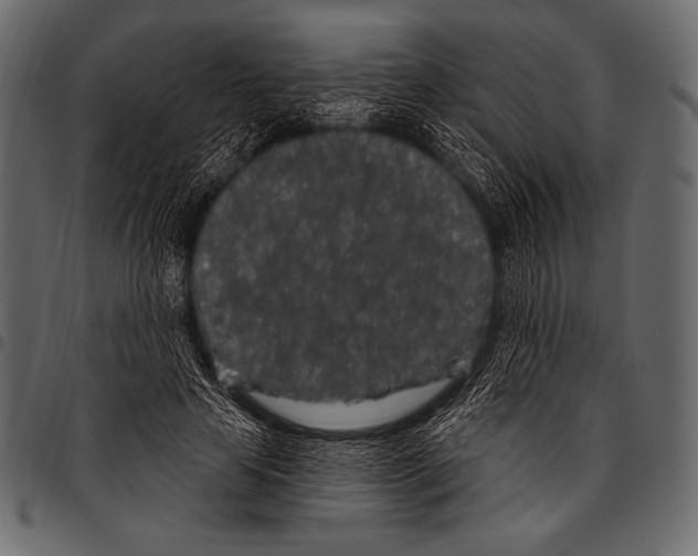 X0000097470641200803201449