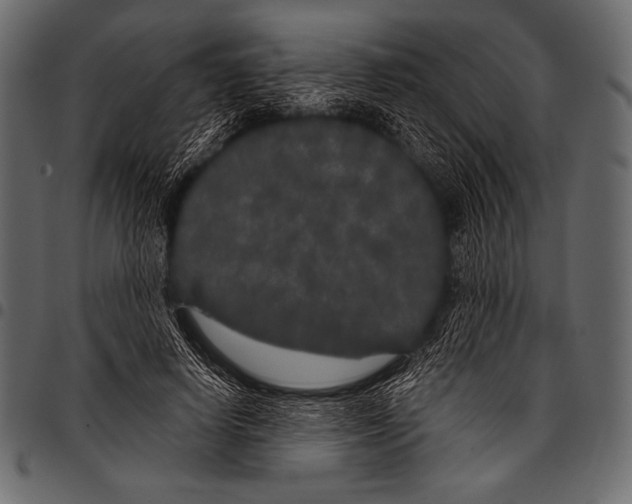 X0000097470642200803201449