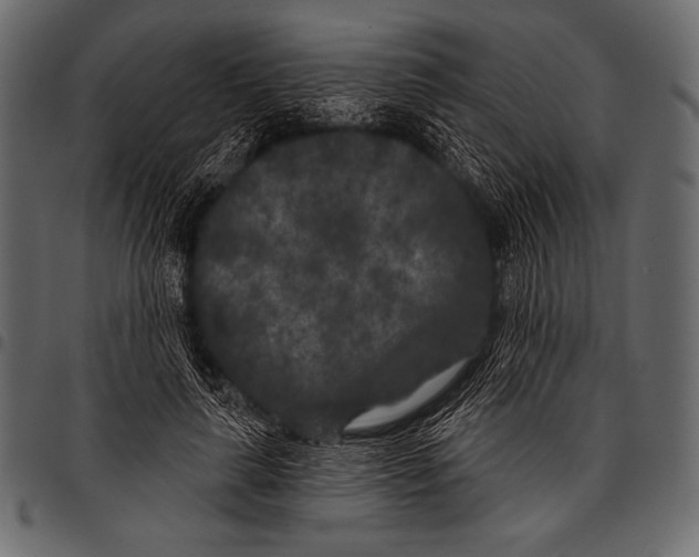 X0000097470643200803201449