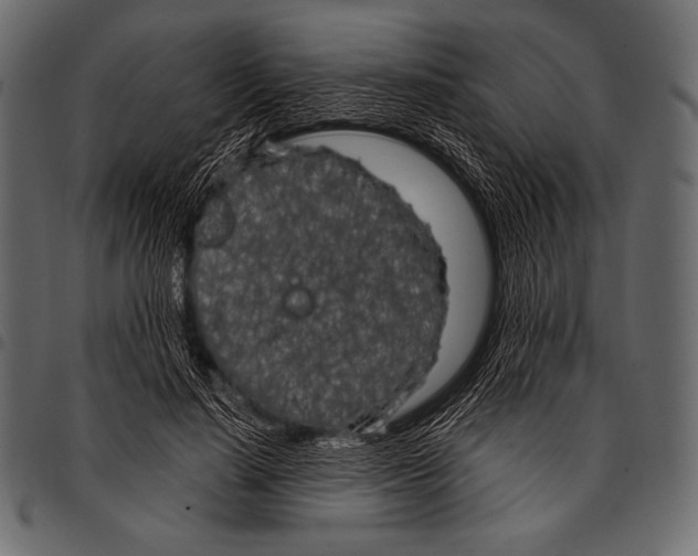 X0000097470644200803201449