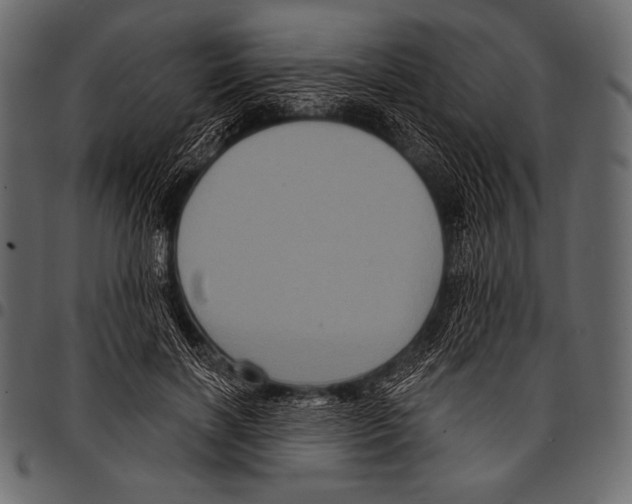 X0000097470646200803201449