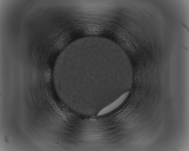 X0000097470647200803201449