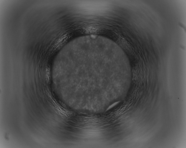 X0000097470648200803201449