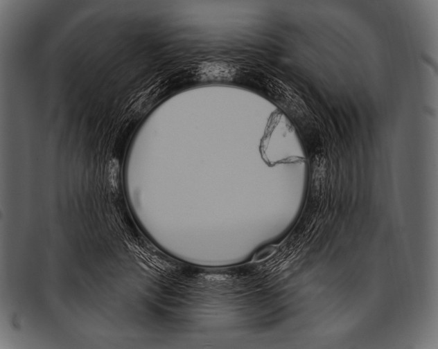 X0000097470649200803201449