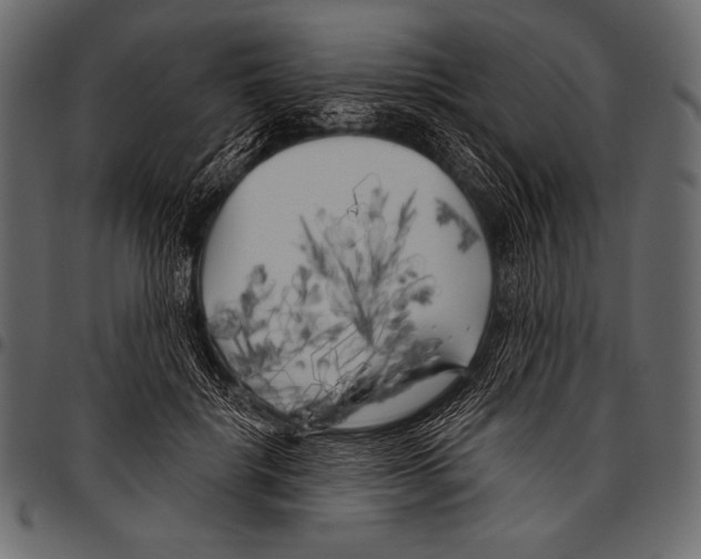 X0000097470652200803201449