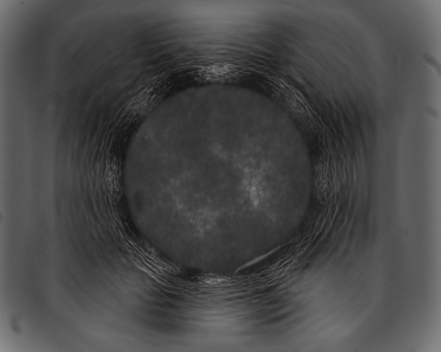 X0000097470653200803201449