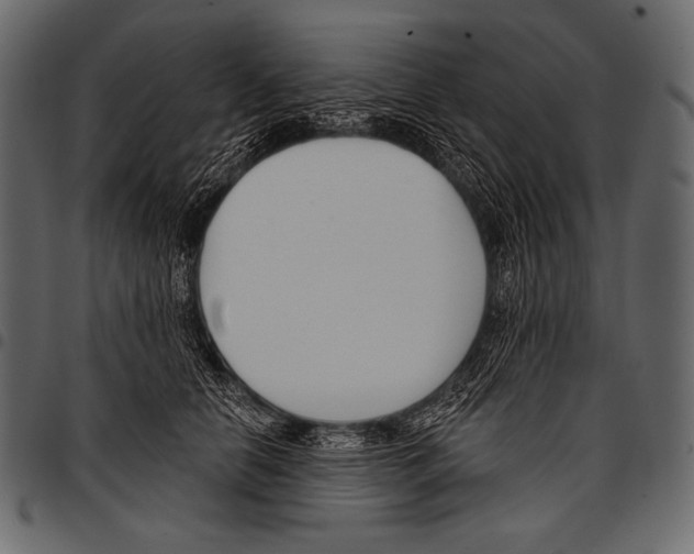 X0000097470658200803201449